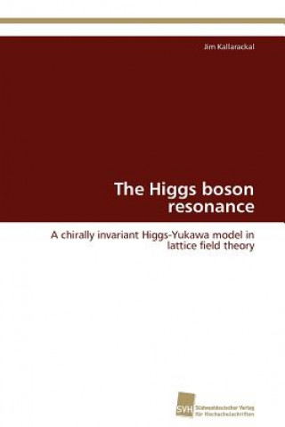 Kniha Higgs boson resonance Jim Kallarackal