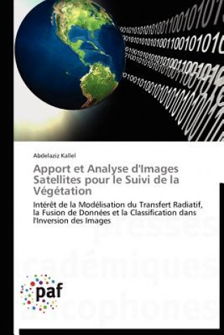 Kniha Apport Et Analyse d'Images Satellites Pour Le Suivi de la Vegetation Abdelaziz Kallel