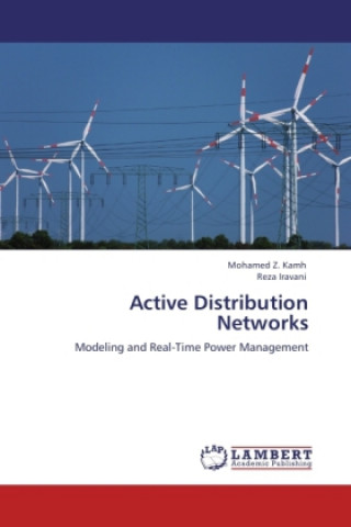 Book Active Distribution Networks Mohamed Z. Kamh