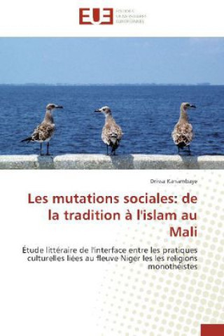 Kniha Les mutations sociales: de la tradition à l'islam au Mali Drissa Kanambaye