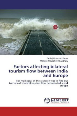 Kniha Factors affecting bilateral tourism flow between India and Europe Pankaj Uttamrao Kapse