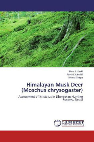 Carte Himalayan Musk Deer (Moschus chrysogaster) Man B. Karki