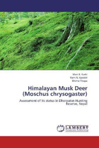 Buch Himalayan Musk Deer (Moschus chrysogaster) Man B. Karki