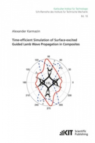Carte Time-efficient Simulation of Surface-excited Guided Lamb Wave Propagation in Composites Alexander Karmazin