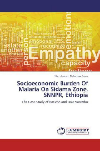 Könyv Socioeconomic Burden Of Malaria On Sidama Zone, SNNPR, Ethiopia Wondwosen Gebeyaw Kassa