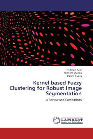 Kniha Kernel based Fuzzy Clustering for Robust Image Segmentation Prabhjot Kaur