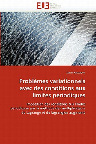 Buch Probl mes Variationnels Avec Des Conditions Aux Limites P riodiques Zanin Kavazovic