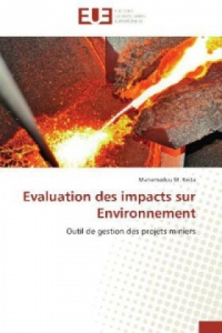 Kniha Evaluation des impacts sur Environnement Mahamadou M. Keita