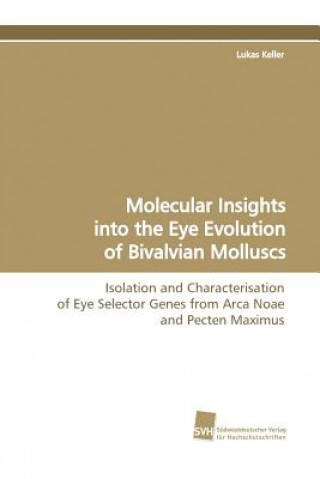 Könyv Molecular Insights Into the Eye Evolution of Bivalvian Molluscs Lukas Keller