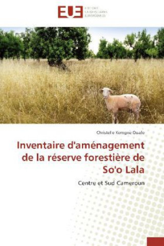 Carte Inventaire d'aménagement de la réserve forestière de So'o Lala Christelle Kemgne Ouafo
