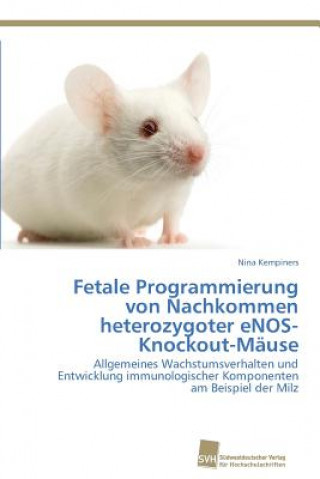 Könyv Fetale Programmierung von Nachkommen heterozygoter eNOS-Knockout-Mause Nina Kempiners