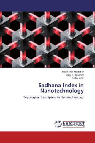 Kniha Sadhana Index in Nanotechnology Padmakar Khadikar