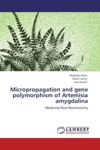 Kniha Micropropagation and gene polymorphism of Artemisia amygdalina Mubashir Khan