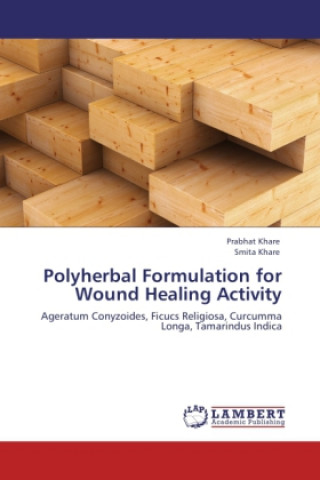 Könyv Polyherbal Formulation for Wound Healing Activity Prabhat Khare