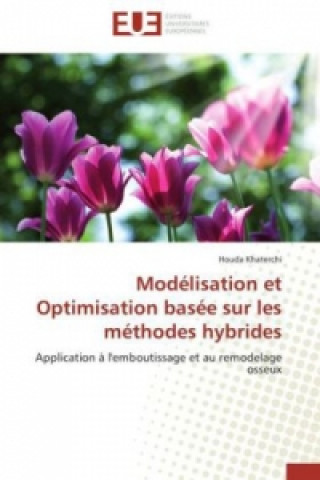 Kniha Modélisation et Optimisation basée sur les méthodes hybrides Houda Khaterchi