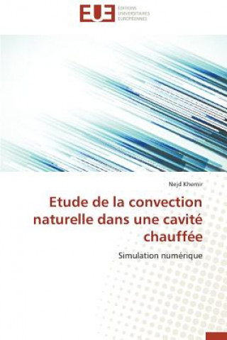 Книга Etude de la Convection Naturelle Dans Une Cavit  Chauff e Nejd Khemir