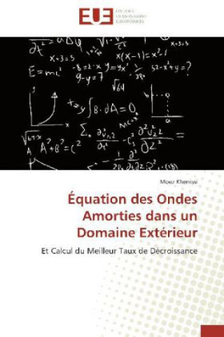 Knjiga Équation des Ondes Amorties dans un Domaine Extérieur Moez Khenissi