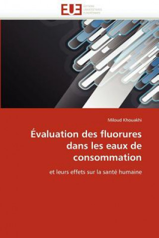 Livro valuation Des Fluorures Dans Les Eaux de Consommation Khouakhi-M
