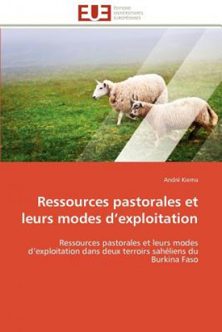 Könyv Ressources Pastorales Et Leurs Modes D Exploitation André Kiema