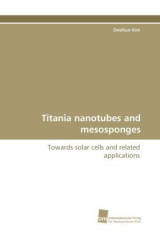 Książka Titania Nanotubes and Mesosponges Doohun Kim