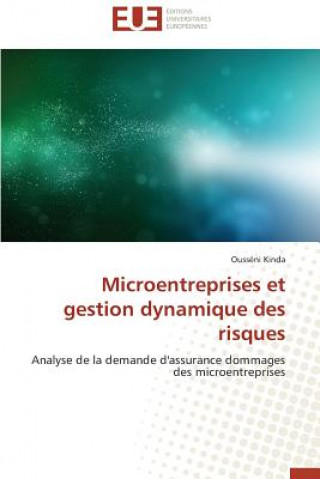 Knjiga Microentreprises Et Gestion Dynamique Des Risques Ousséni Kinda