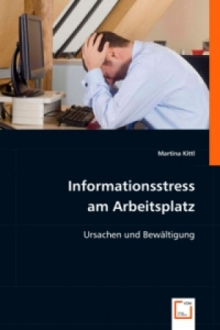 Buch Informationsstress am Arbeitsplatz Martina Kittl