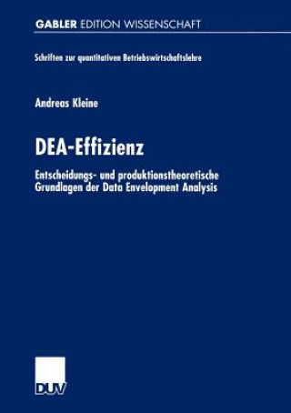 Könyv DEA-Effizienz Andreas Kleine