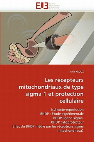 Könyv Les recepteurs mitochondriaux de type sigma 1 et protection cellulaire Anis Klouz