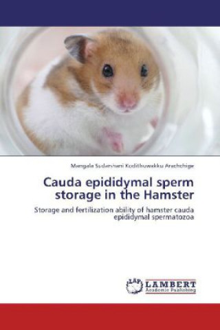 Kniha Cauda epididymal sperm storage in the Hamster Mangala Sudarshani Kodithuwakku Arachchige