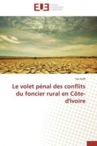 Książka Le volet pénal des conflits du foncier rural en Côte-d'Ivoire Yao Koffi