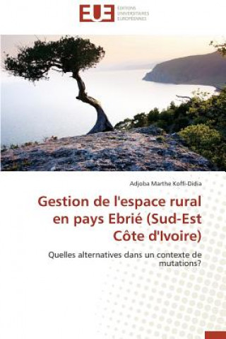 Книга Gestion de l'espace rural en pays ebrie (sud-est cote d'ivoire) Adjoba Marthe Koffi-Didia