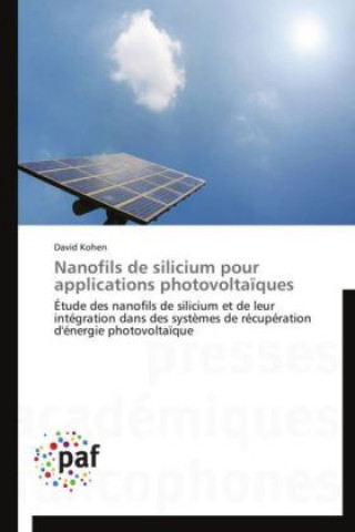 Kniha Nanofils de silicium pour applications photovoltaïques David Kohen