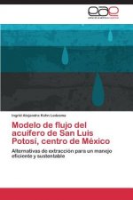 Könyv Modelo de flujo del acuifero de San Luis Potosi, centro de Mexico Ingrid Alejandra Kohn Ledesma
