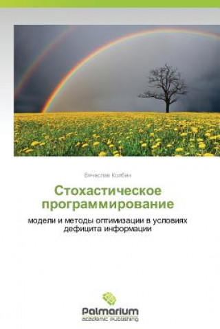 Könyv Stokhasticheskoe Programmirovanie Vyacheslav Kolbin