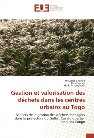 Kniha Gestion et valorisation des déchets dans les centres urbains au Togo Moursalou Koriko