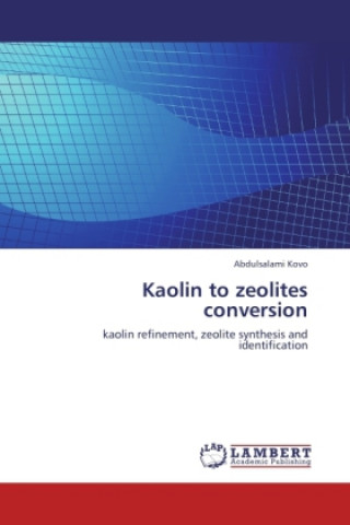 Kniha Kaolin to zeolites conversion Abdulsalami Kovo