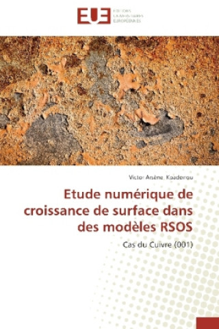 Könyv Etude numérique de croissance de surface dans des modèles RSOS Victor Arsène Kpadonou
