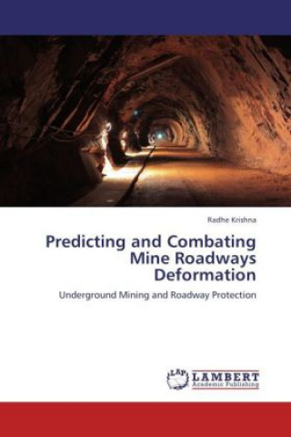 Kniha Predicting and Combating Mine Roadways Deformation Radhe Krishna