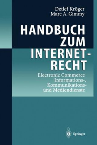 Kniha Handbuch zum Internetrecht Detlef Kröger