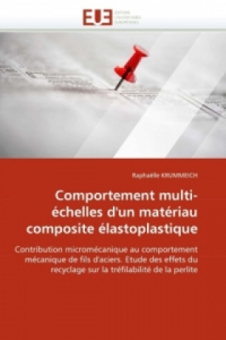 Carte Comportement multi-échelles d'un matériau composite élastoplastique Raphaëlle Krummeich