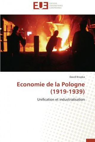 Könyv Economie de la Pologne (1919-1939) David Krupka