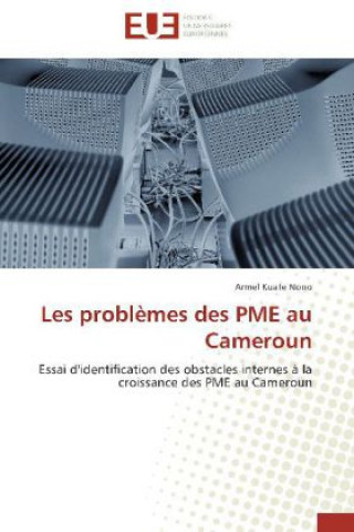 Book Les problèmes des PME au Cameroun Armel Kuate Nono