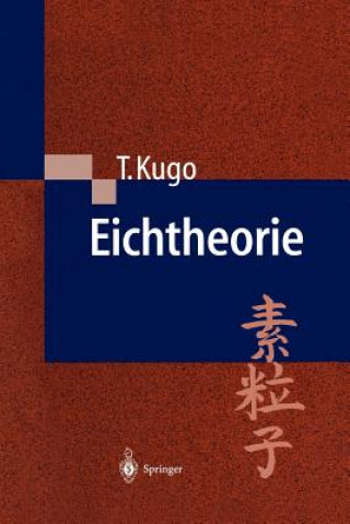 Книга Eichtheorie Taichiro Kugo