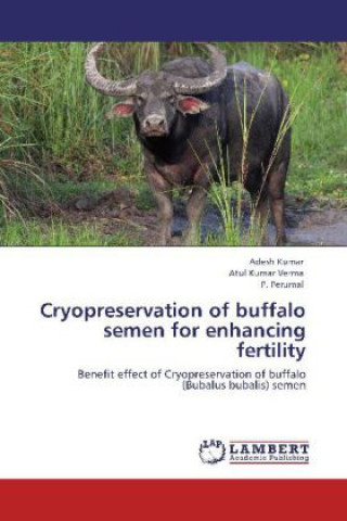 Könyv Cryopreservation of buffalo semen for enhancing fertility Adesh Kumar