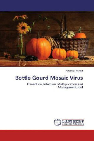 Könyv Bottle Gourd Mosaic Virus Pardeep Kumar