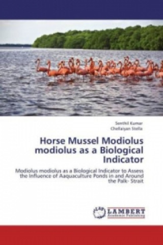 Carte Horse Mussel Modiolus modiolus as a Biological Indicator Senthil Kumar