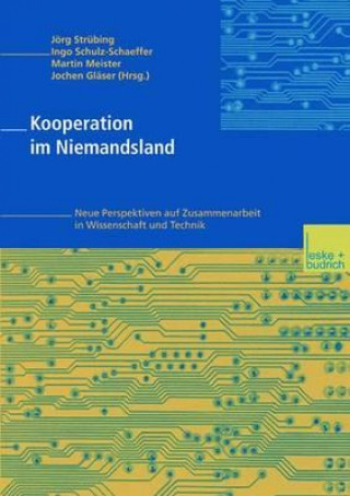 Kniha Kooperation Im Niemandsland Jochen Gläser