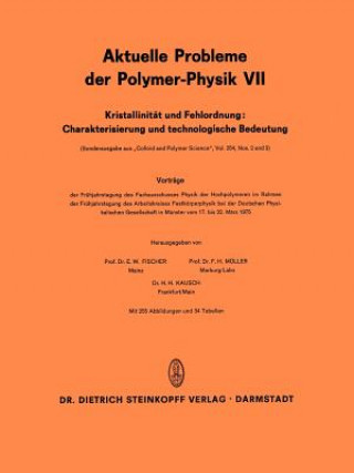Kniha Kristallinität und Fehlordnung: Charakterisierung und technologische Bedeutung E. W. Fischer