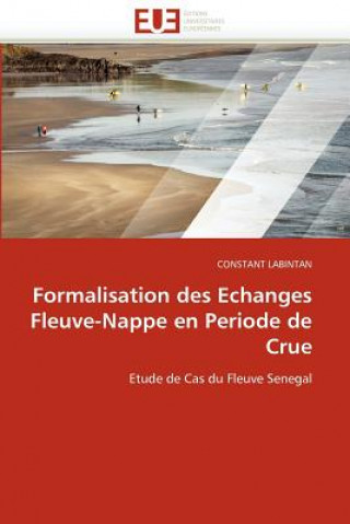 Kniha Formalisation Des Echanges Fleuve-Nappe En Periode de Crue Constant Labintan