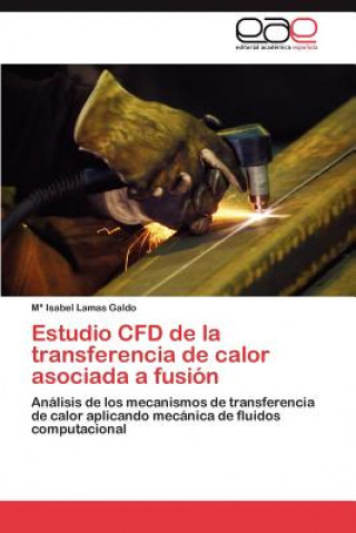 Carte Estudio Cfd de La Transferencia de Calor Asociada a Fusion M Isabel Lamas Galdo